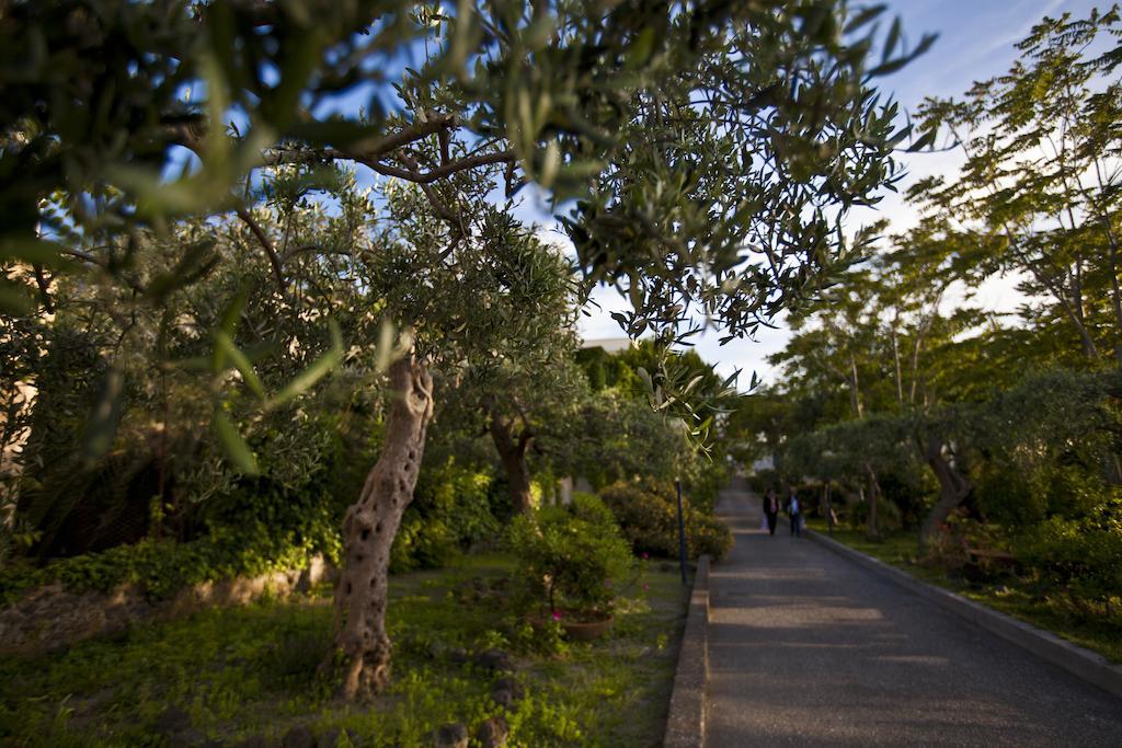 Hotel Terme Alexander Ischia Exterior photo